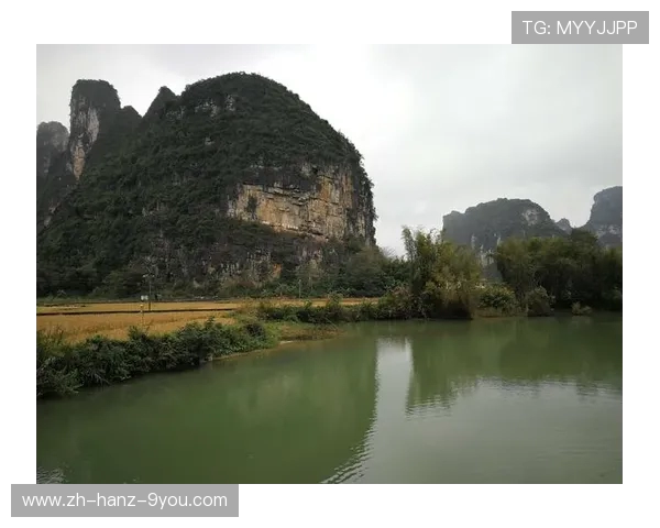 《探秘Elk射手：从技能特性到战术运用全面解析》