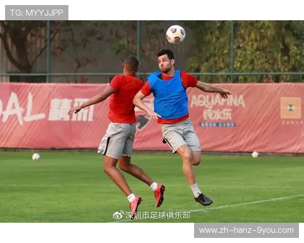 深圳篮球队的默契配合与战术创新探讨 深圳篮球队的默契配合与战术创新探讨